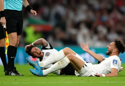 Illustration dove - Image 1