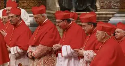 Illustration cardinal - Image 2