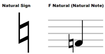 Illustration natural - Image 2