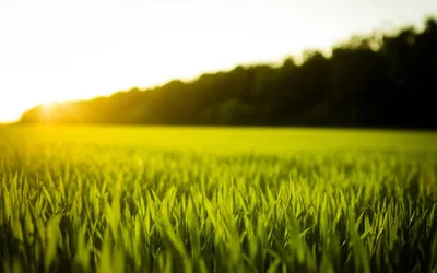 Illustration verges - Image 1