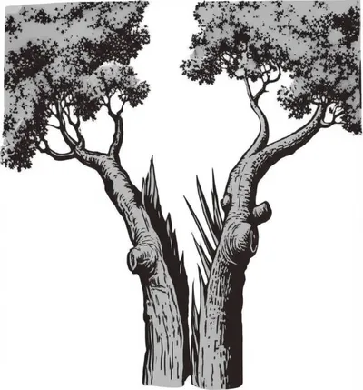 Illustration schismatic - Image 1