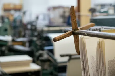 Illustration peels - Image 1