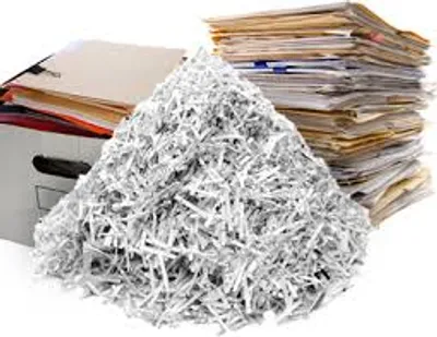 Illustration shred - Image 2