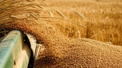 Illustration humbled - Image 1