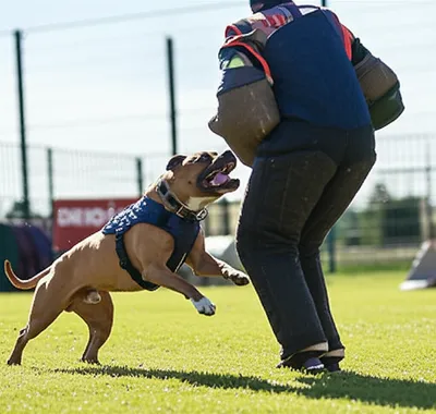 Illustration bump - Image 1