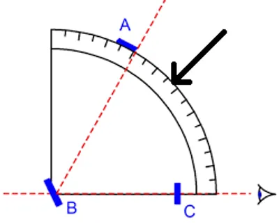 Illustration limb - Image 2