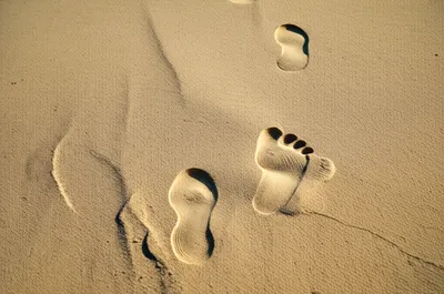 Illustration follow - Image 1