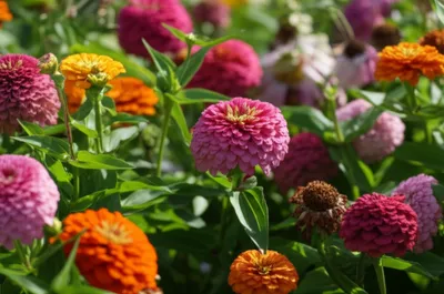 Illustration winders - Image 1