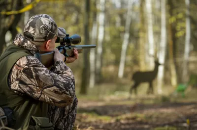 Illustration potting - Image 1