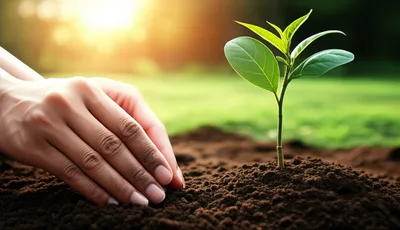 Illustration make - Image 1