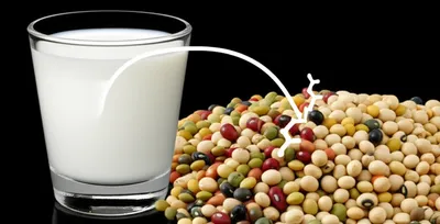 Illustration casein - Image 1