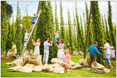 Illustration hopping