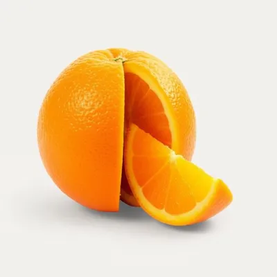 Illustration sections - Image 1