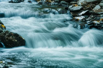 Illustration shoots - Image 1