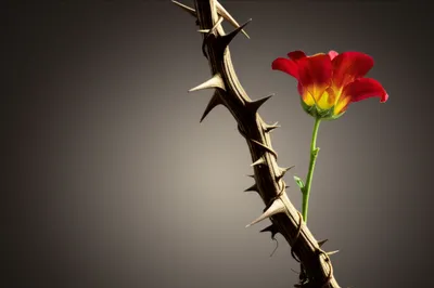 Illustration evil - Image 1