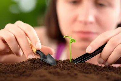 Illustration diligence - Image 1