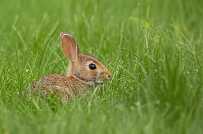 Illustration squatting - Image 1