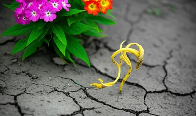 Illustration ab - Image 1