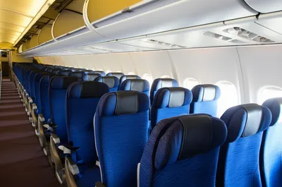 Illustration coach - Image 1