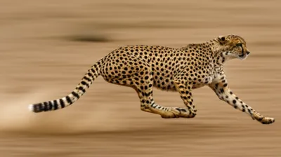 Illustration jump - Image 1