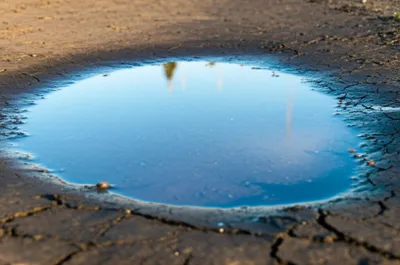 Illustration shallower - Image 1