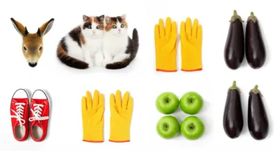 Illustration pairs - Image 1