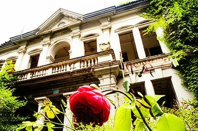 Illustration undoes - Image 1