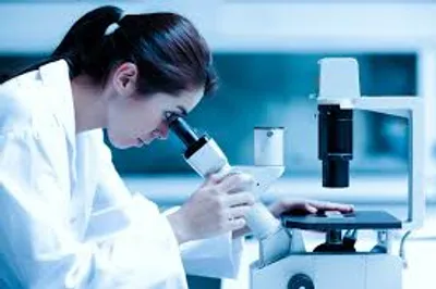 Illustration study - Image 4