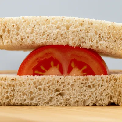 Illustration sandwiched