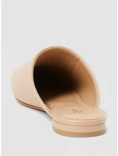 Illustration mule - Image 1