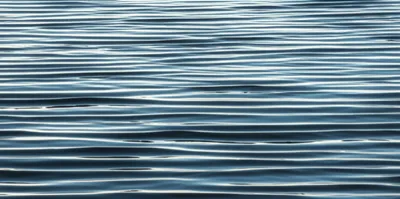 Illustration curled - Image 1