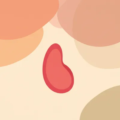 Illustration bean - Image 1