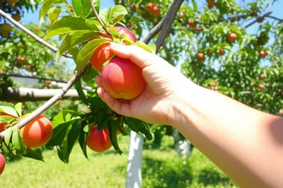 Illustration taking - Image 1