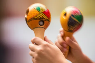 Illustration maracas - Image 1