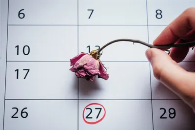 Illustration stayed - Image 1