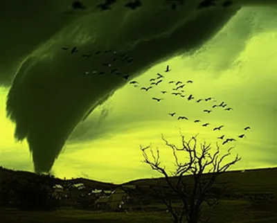 Illustration boding - Image 1