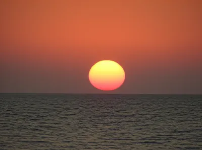 Illustration dips - Image 1