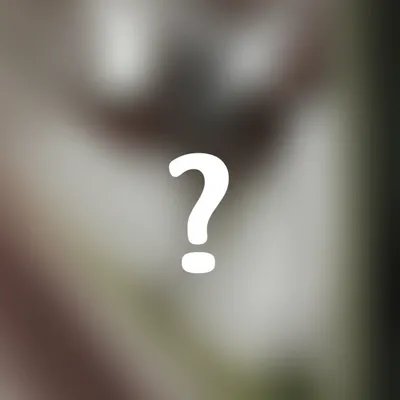 Illustration unspecified