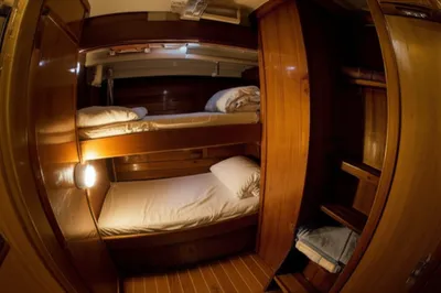 Illustration bunk - Image 1