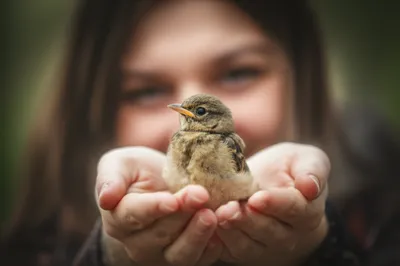 Illustration commend - Image 1