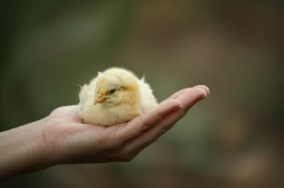 Illustration easy - Image 1