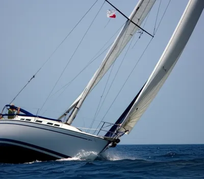 Illustration roll - Image 1