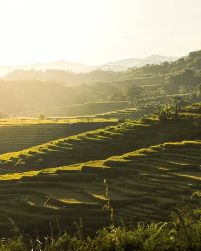 Illustration hillsides - Image 2