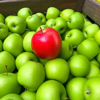 Illustration egregious