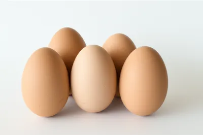 Illustration oval - Image 1