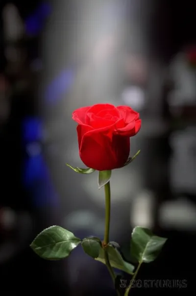 Illustration punctuated - Image 1