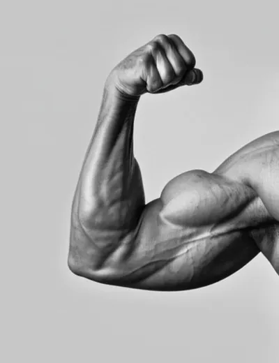 Illustration horseshoe - Image 1