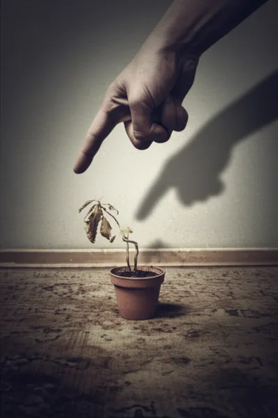 Illustration carpeting - Image 1