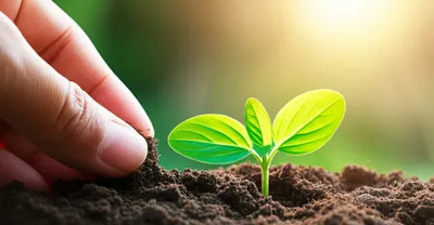 Illustration promising - Image 1