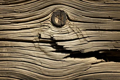 Illustration creak - Image 1